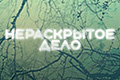 Нераскрытое дело (2024)